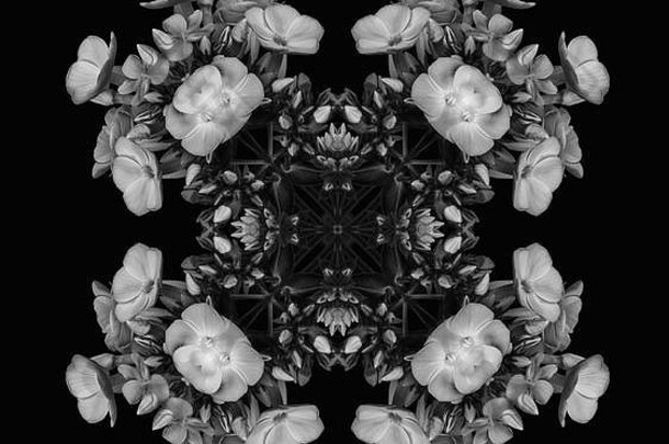 美术静物花卉装饰几何对称单案/装饰物/曼荼罗由黑色背景上的福禄考制成