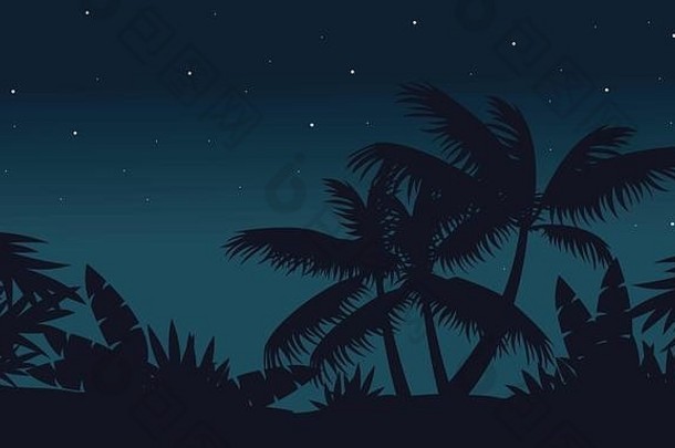 在夜晚，棕榈树在丛林的景色
