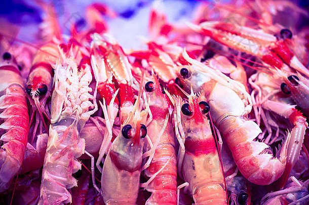 许多虾和虾的特写镜头。