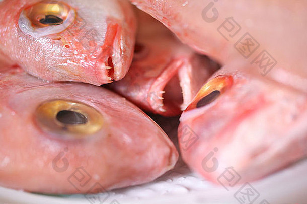 市场上生鲜鱼的详细信息，特写