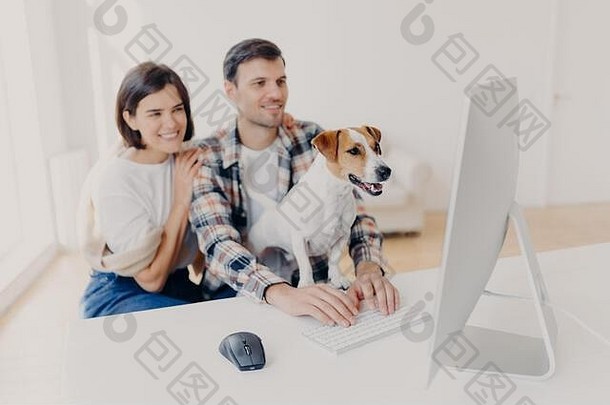 积极的年轻妻子和丈夫在网上阅读出版物，坐在电脑前，和宠物一起看喜爱的电影或电影。关注动物。C