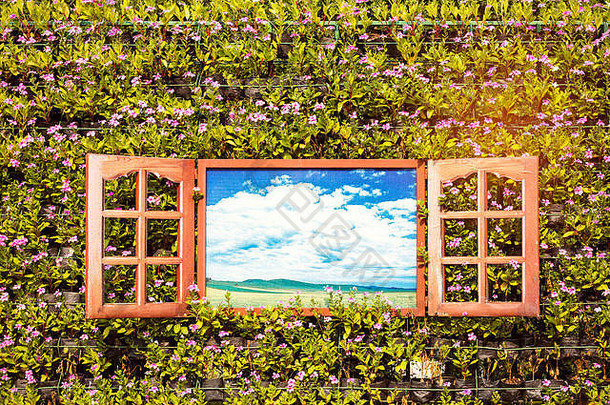 木窗户装饰墙种植花