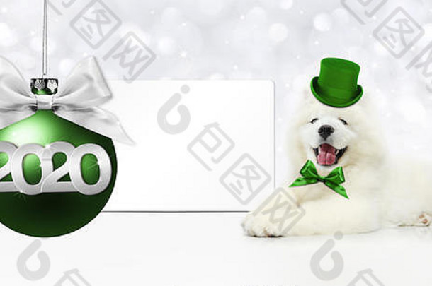 2020年快乐新年数字文本，带绿色帽子和圣诞球的有趣神奇小狗，在银色模糊灯光背景下隔离