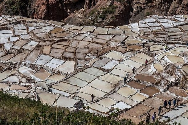 萨莱纳马拉斯传统的还盐场池塘Urubamba库斯科神圣的谷秘鲁马里盐蒸发池塘南美国