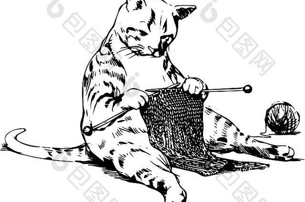猫直立着坐着织围巾