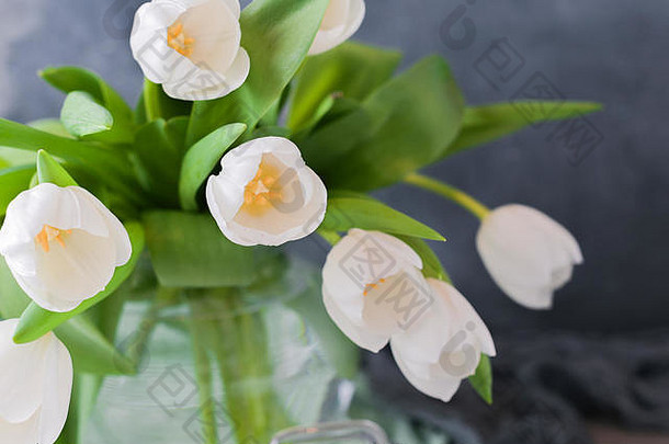 一束白色郁金香插在花瓶里，背景为灰色。鲜花作为礼物送给你最喜欢的人。间谍