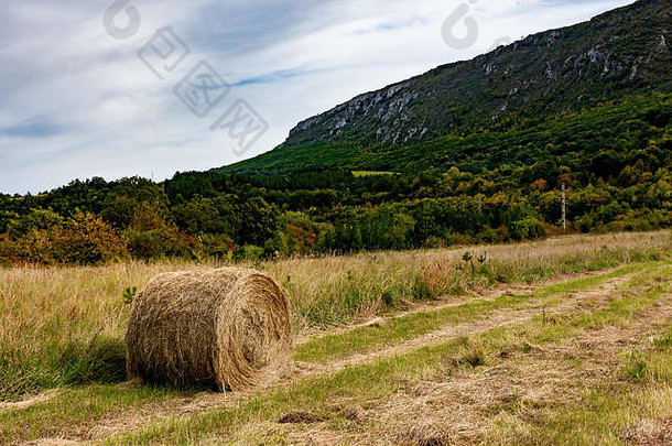 干草捆。有摩纳丁和天空的农田。农田里的乡村自然。草地上的稻草。夏末小麦黄金时代。