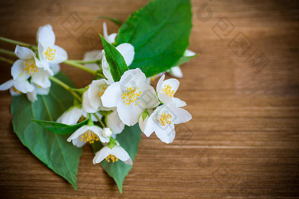 美丽的白色茉莉花放在桌上的树枝上