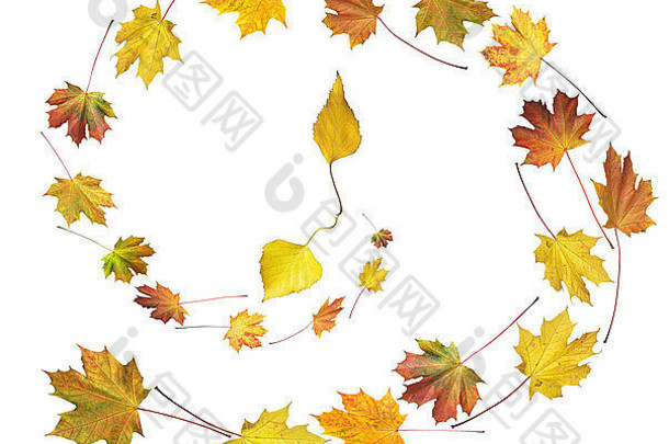 时钟形状使色彩斑斓的秋天枫木桦木树叶孤立的白色秋天的时间轮跳舞