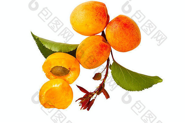 杏水果孤立的白色背景