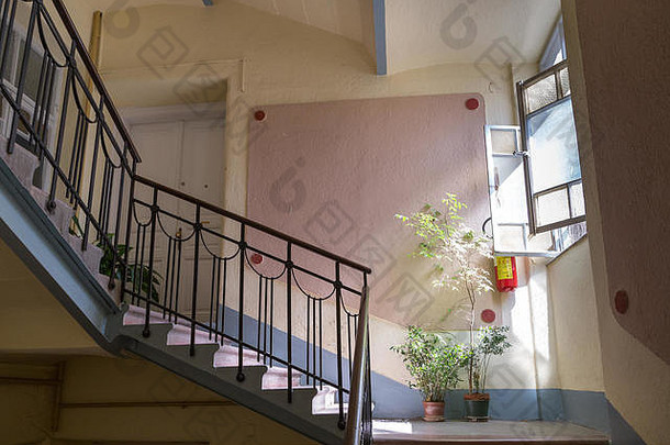 漂亮的欧式楼梯和通往公寓入口的楼梯以及盆栽植物