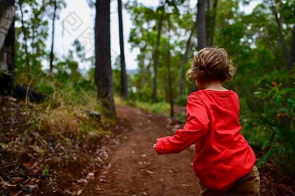 澳大利亚昆士兰卡德维尔，一个小孩在森林中奔跑