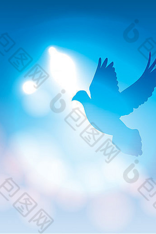 一只鸽子的剪影在蓝色背景下飞行，光线柔和。
