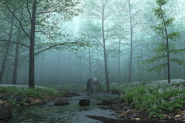 雾林中的马