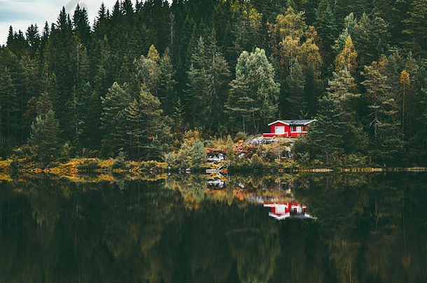挪威针叶林中的红楼和湖水倒影景观旅行宁静的风景观斯堪的纳维亚野生自然