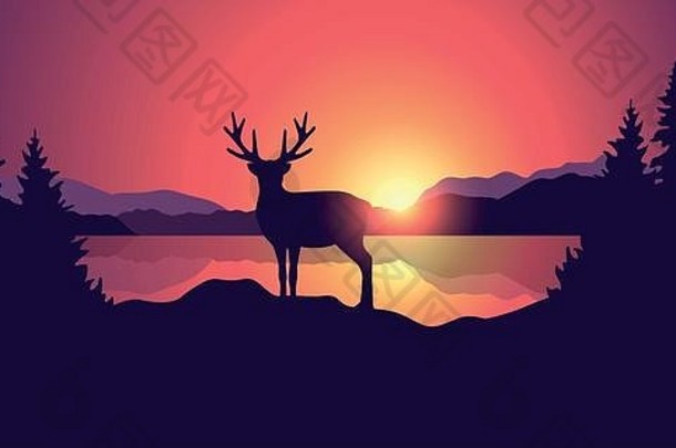 美丽的野生动物景观，日落时有驯鹿湖山脉和森林