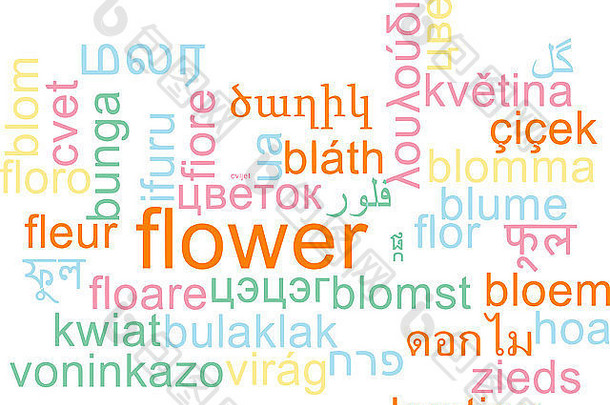 背景概念wordcloud多语言国际多语言花卉插图