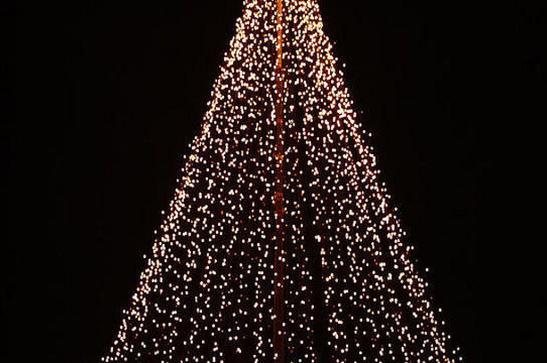 抽象树上的圣诞灯饰