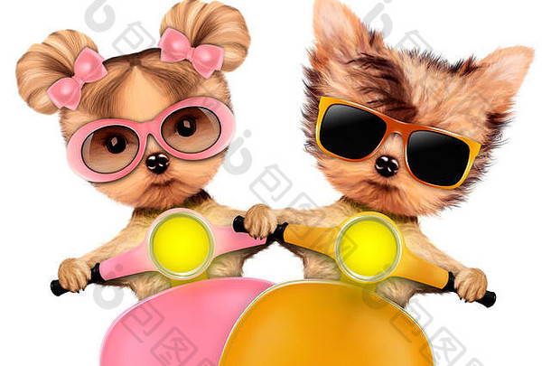 一对戴着太阳镜的滑稽小狗坐在摩托车上，被隔离在白色的地板上。爱情和友谊的概念。真实感三维插图