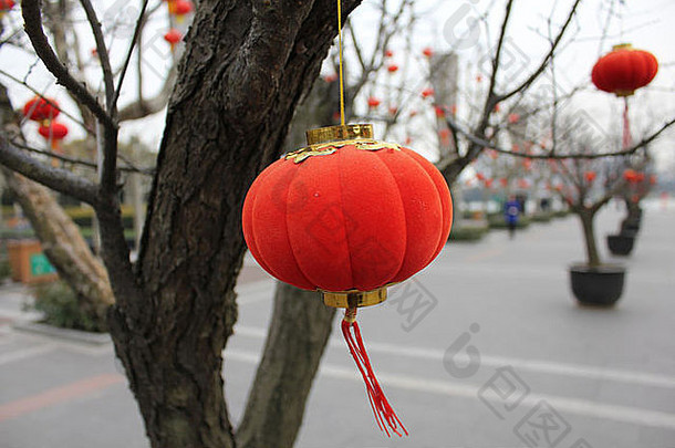 在中国新年的元宵节期间，中国上海世纪公园的红色中国灯笼