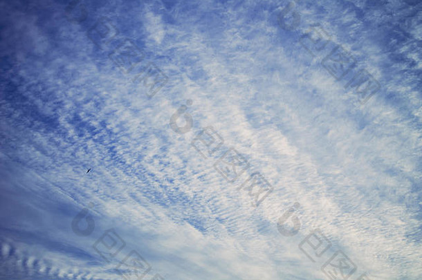 蓝色的多云的天空背景日出自然纹理