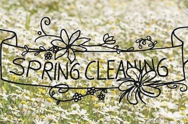 阳光明媚的白色黛西花草地书法插图春天清洁