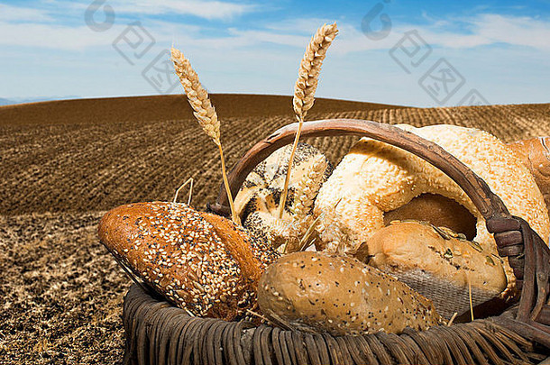 面包小麦麦片作物耕种土地