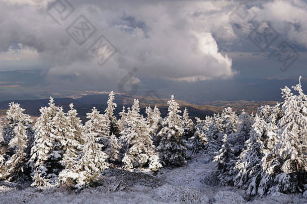 冬季山地景观。德国萨克森安哈尔特哈兹山脉布罗肯山上覆盖着白雪的树木线。