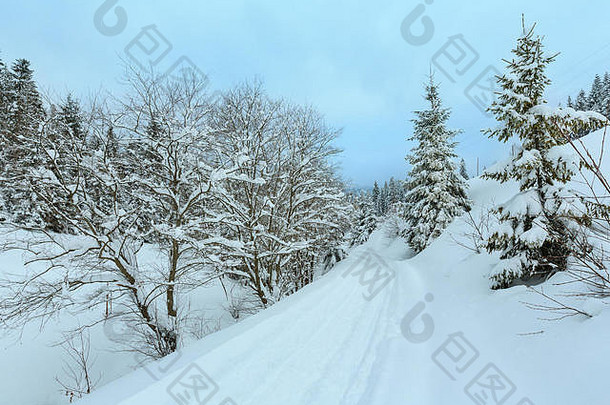 冬天喀尔巴阡山脉的山景观雪冷杉树农村路