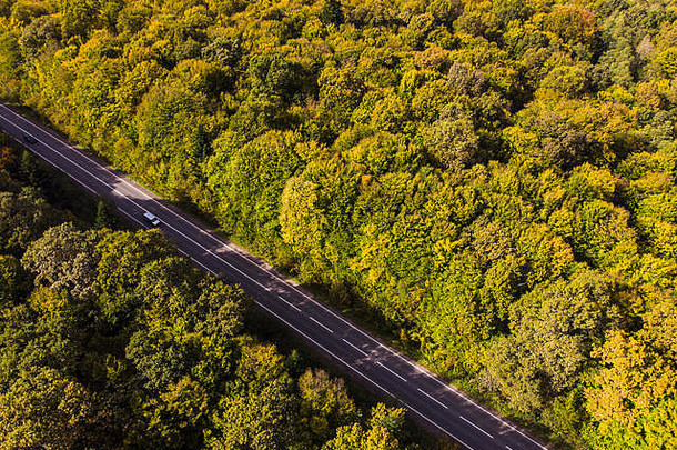 汽车在彩色秋林之间的道路上行驶。无人机视图。旅游和租车主题。