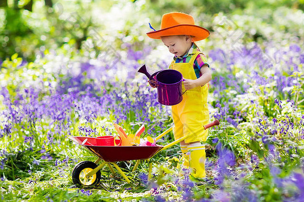 孩子们野风信子林地孩子花花园工具独轮手推车男孩园艺孩子们玩户外蓝铃花工作植物水