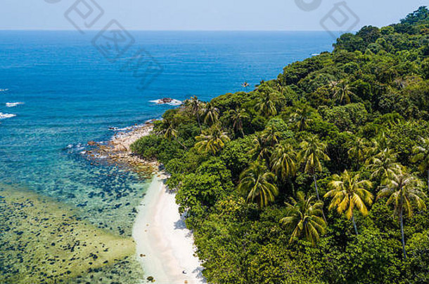 夏天荒芜的热带海滩。热带沙岛，有棕榈树和水晶水。龟背滩（马来西亚）