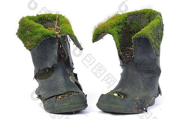 长满苔藓和真菌的旧脏鞋子