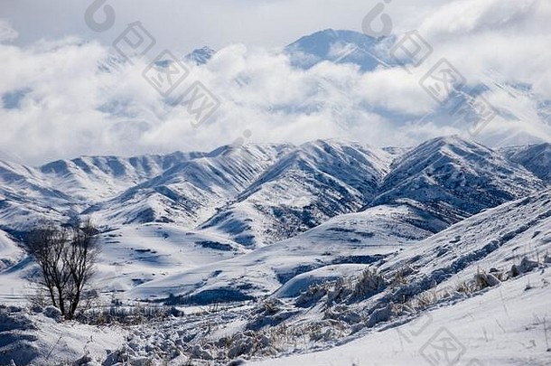 比什凯克附近吉尔吉斯斯坦崔州<strong>天山山脉</strong>的一个积雪覆盖的山坡。