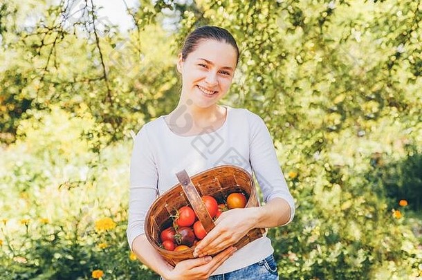 园艺和农业概念。年轻的农场女工拿着篮子在花园里采摘新鲜成熟的有机西红柿。温室产品。蔬菜食品生产
