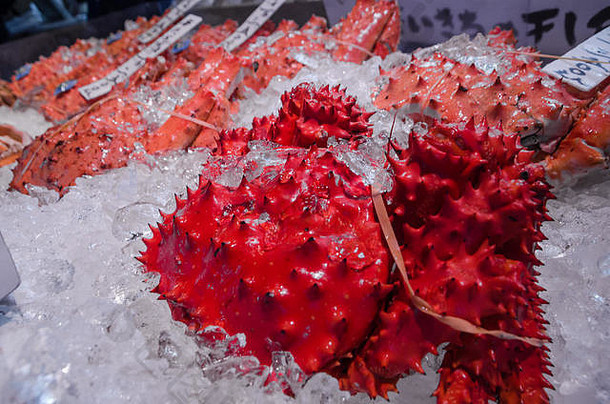 视图新鲜的塔拉螃蟹二条鱼市场札幌最大城市北部岛北海道塔拉蟹北海道