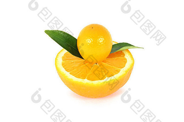 金橘侏儒橙对半橙白色隔离