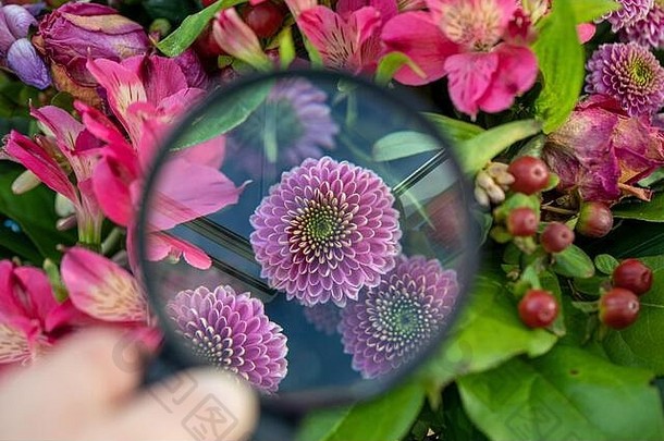 放大玻璃显示扩大开花花束