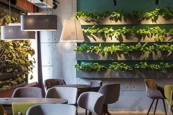 空咖啡馆室内很多绿色植物墙