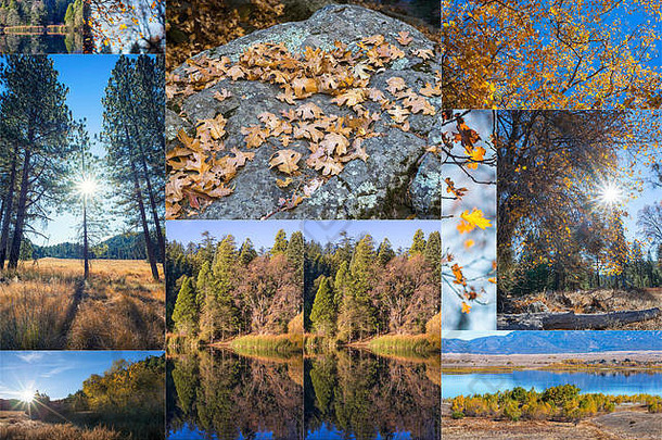 照片拼贴画秋天季节美自然概念