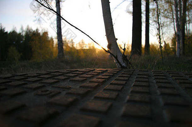清晨，芬兰一片森林中的钢铁井盖。