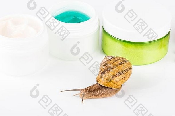 有机化妆品由蜗牛制成，在欧洲对皮肤、健康和时尚非常有益。一锅奶油、凝胶、洗发水、绿叶和snai