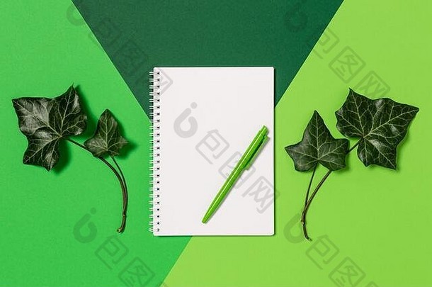 记事本空白纸笔绿色背景常绿艾薇叶子概念自然环境保护平躺前视图复制