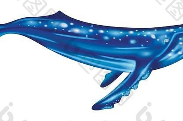 水彩蓝鲸