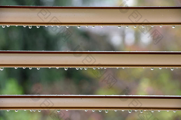 雨天用雨滴透过敞开的百叶窗向外看