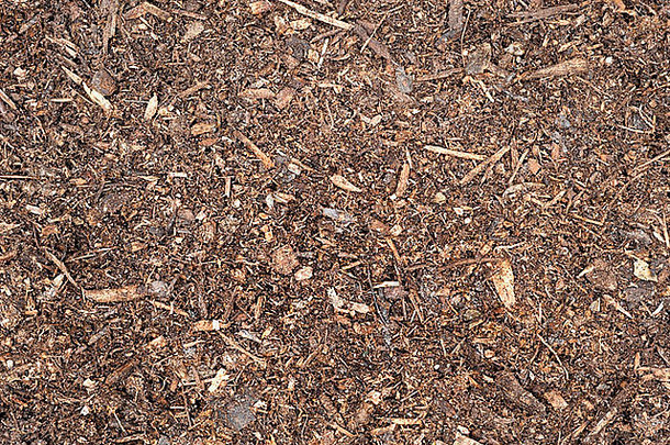 一张由上而下的新铺泥炭苔藓表土图片。