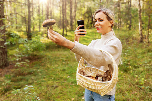 女人用智能手机识别蘑菇