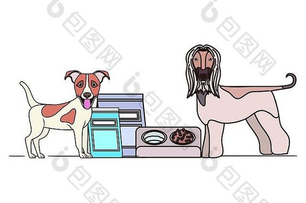 狗碗宠物食物白色背景