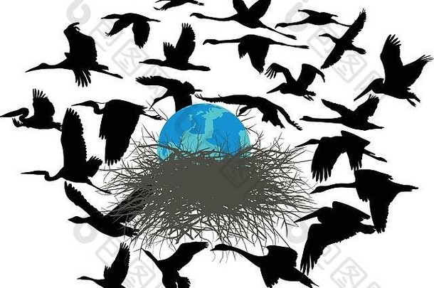 鸟类拯救地球