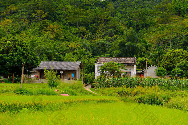 越南北部的自然景观